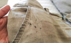 Get rid of oil and grease stains - Laundry tips and tricks