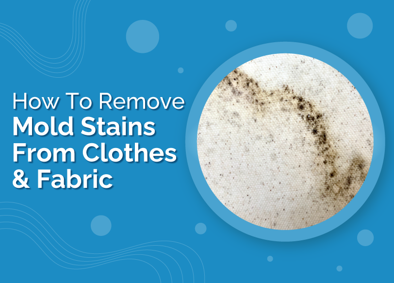 How to Remove Mould Stains from Clothes and Fabric